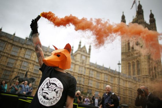 Protesters outside Parliament today (photo courtesy of http://www.mirror.co.uk/news/uk-news/fox-hunting-protest-live-brian-6062539)